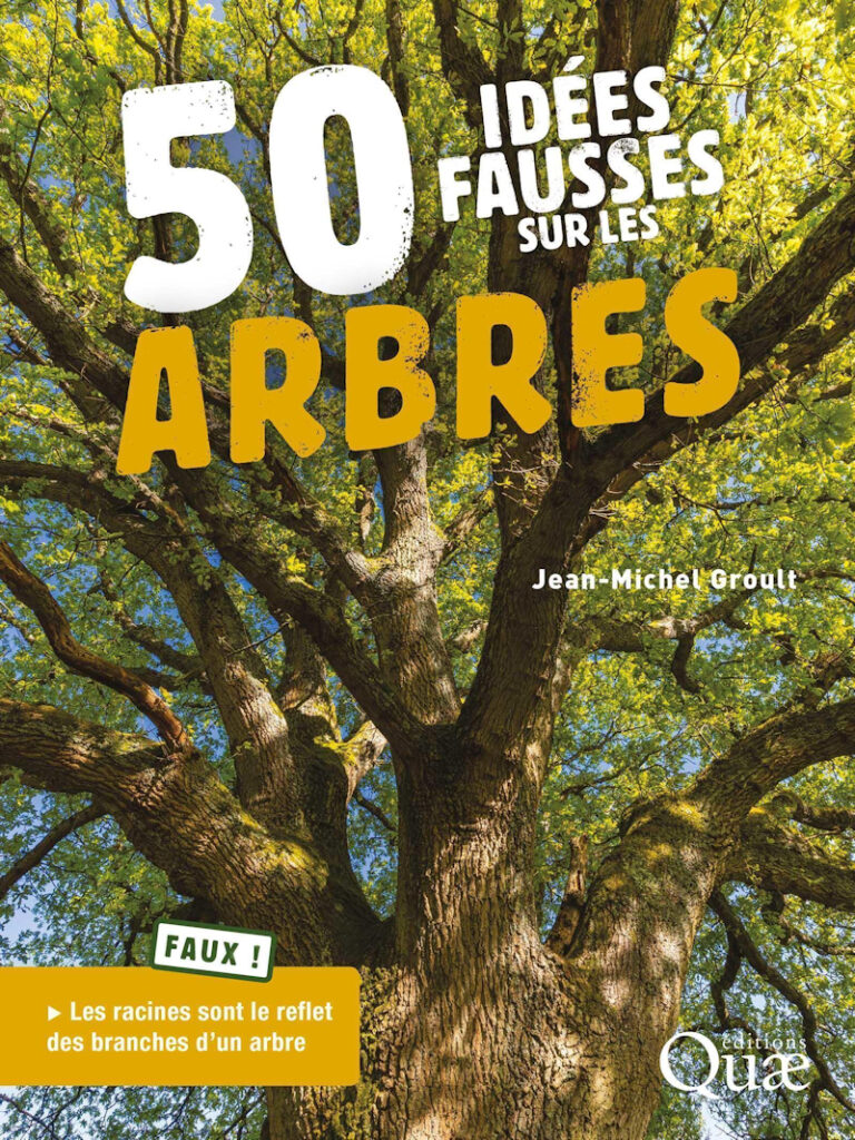 50 idées fausses sur les arbres