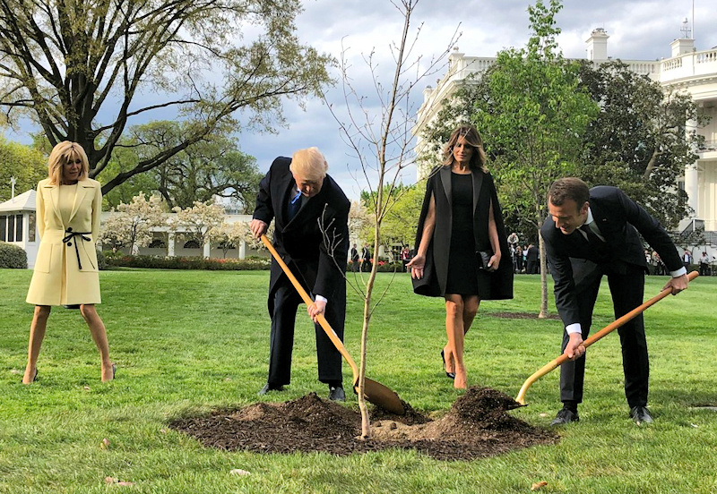 Trump Macron chene White House - DP - Voice of America