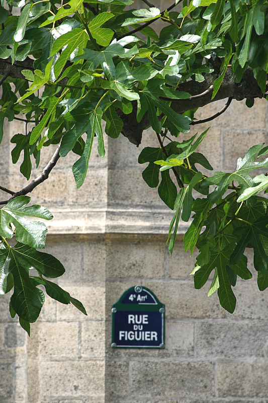 Écologie urbaine