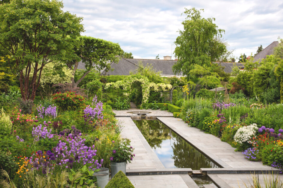 Jardin d'Helen Dillon à Dublin